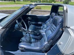 1981 Chevrolet Corvette (CC-2081003) for sale in Hilton, New York