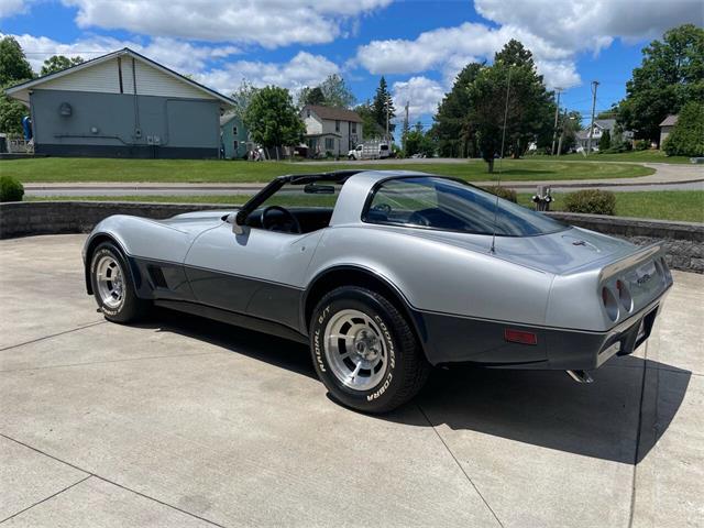 1981 Chevrolet Corvette (CC-2081003) for sale in Hilton, New York