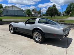1981 Chevrolet Corvette (CC-2081003) for sale in Hilton, New York