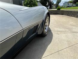 1981 Chevrolet Corvette (CC-2081003) for sale in Hilton, New York