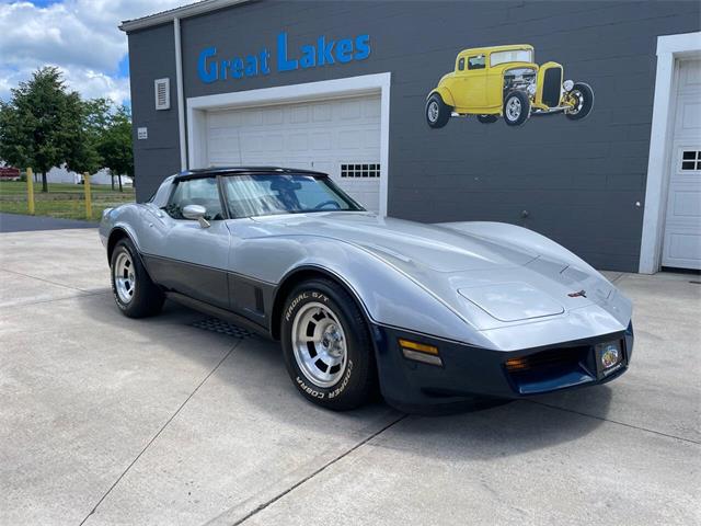 1981 Chevrolet Corvette (CC-2081003) for sale in Hilton, New York