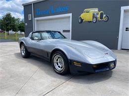 1981 Chevrolet Corvette (CC-2081003) for sale in Hilton, New York