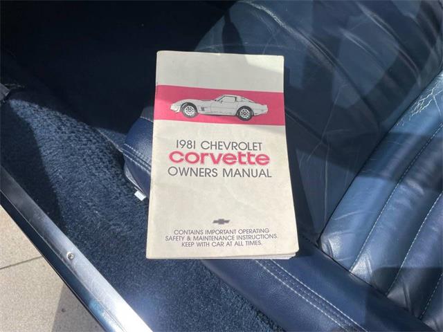 1981 Chevrolet Corvette (CC-2081003) for sale in Hilton, New York