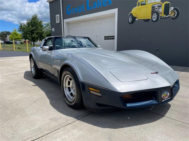 1981 Chevrolet Corvette (CC-2081003) for sale in Hilton, New York