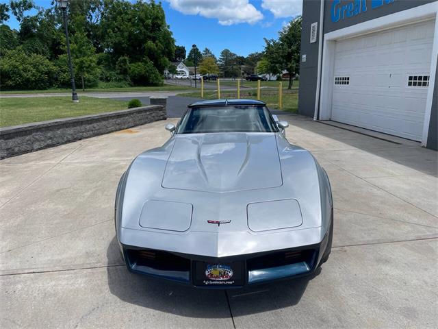 1981 Chevrolet Corvette (CC-2081003) for sale in Hilton, New York