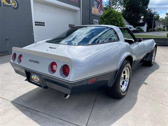 1981 Chevrolet Corvette (CC-2081003) for sale in Hilton, New York