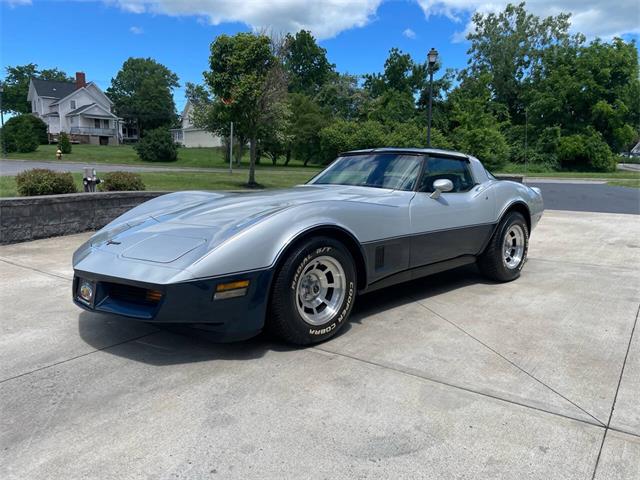 1981 Chevrolet Corvette (CC-2081003) for sale in Hilton, New York