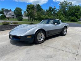 1981 Chevrolet Corvette (CC-2081003) for sale in Hilton, New York