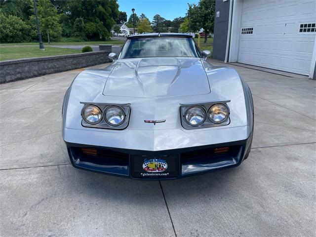 1981 Chevrolet Corvette (CC-2081003) for sale in Hilton, New York