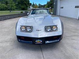 1981 Chevrolet Corvette (CC-2081003) for sale in Hilton, New York