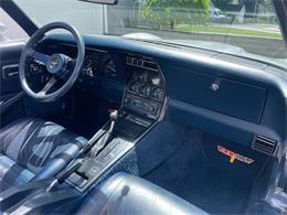 1981 Chevrolet Corvette (CC-2081003) for sale in Hilton, New York