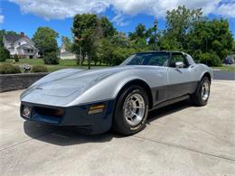 1981 Chevrolet Corvette (CC-2081003) for sale in Hilton, New York