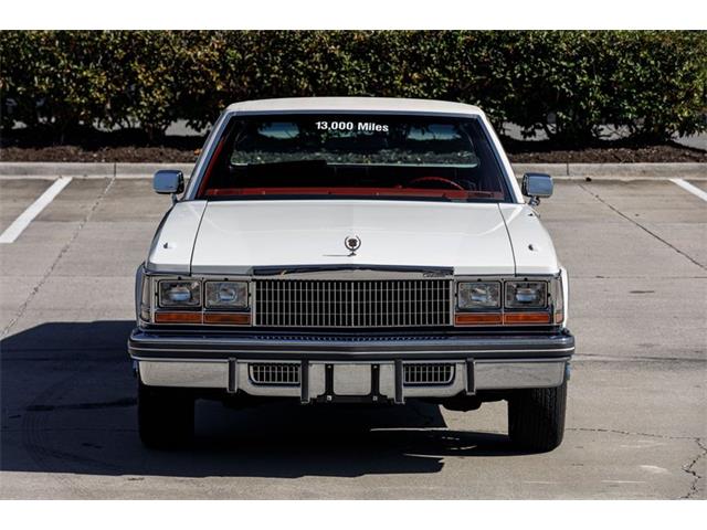 1979 Cadillac Seville (CC-2081052) for sale in Orlando, Florida