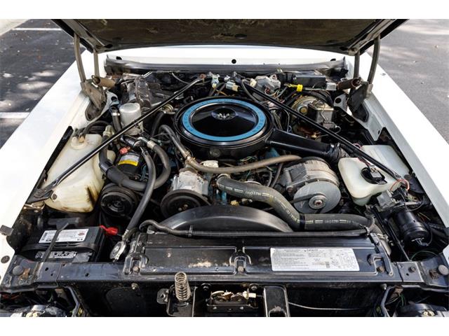 1979 Cadillac Seville (CC-2081052) for sale in Orlando, Florida