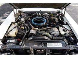 1979 Cadillac Seville (CC-2081052) for sale in Orlando, Florida