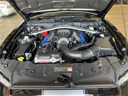 2013 Ford Mustang Boss 302 (CC-2081102) for sale in Mill Hall, Pennsylvania