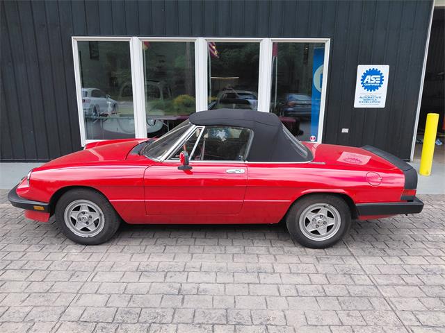 1983 Alfa Romeo Spider (CC-2081125) for sale in Mill Hall, Pennsylvania