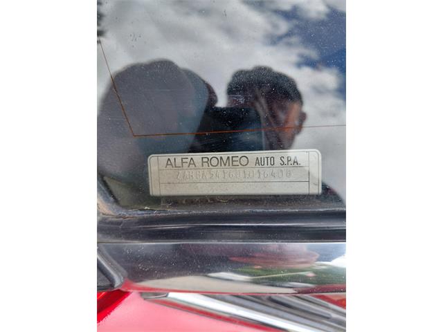 1983 Alfa Romeo Spider (CC-2081125) for sale in Mill Hall, Pennsylvania