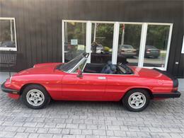 1983 Alfa Romeo Spider (CC-2081125) for sale in Mill Hall, Pennsylvania