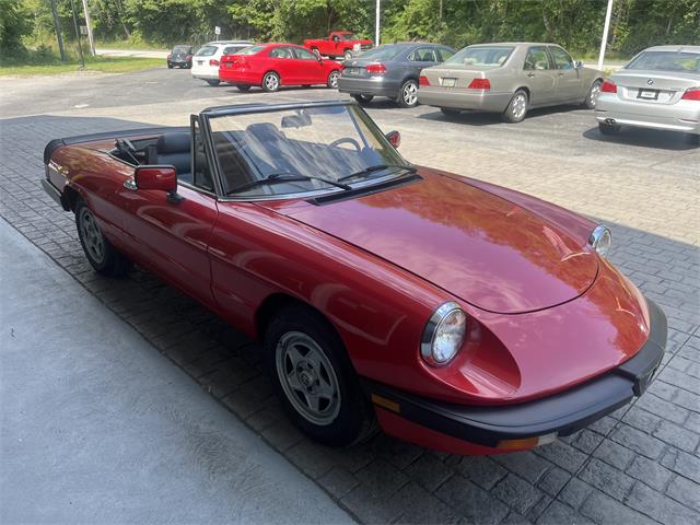 1983 Alfa Romeo Spider (CC-2081125) for sale in Mill Hall, Pennsylvania