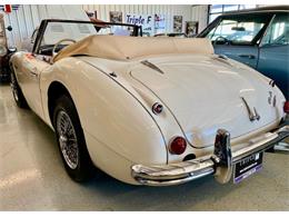 1964 Austin-Healey 3000 (CC-2081138) for sale in Fort Worth, Texas