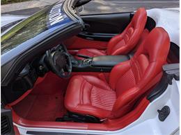 2004 Chevrolet Corvette (Indy 500 Pace Car) (CC-2081187) for sale in Grass Valley, California