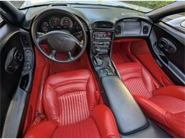 2004 Chevrolet Corvette (Indy 500 Pace Car) (CC-2081187) for sale in Grass Valley, California