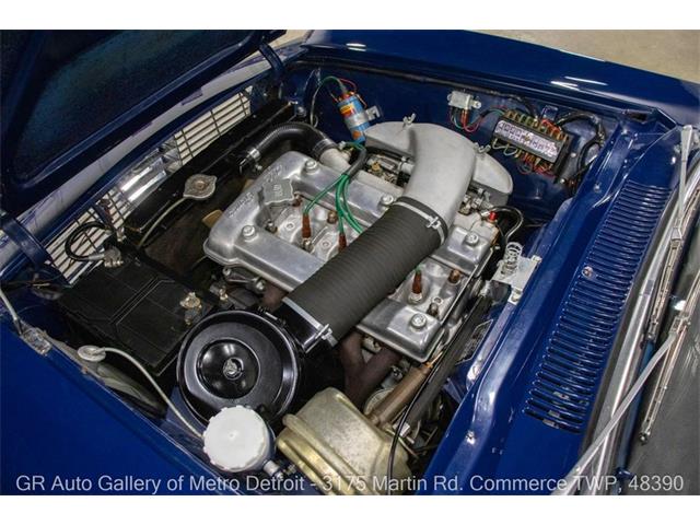 1965 Alfa Romeo Giulia (CC-2081277) for sale in Kentwood, Michigan