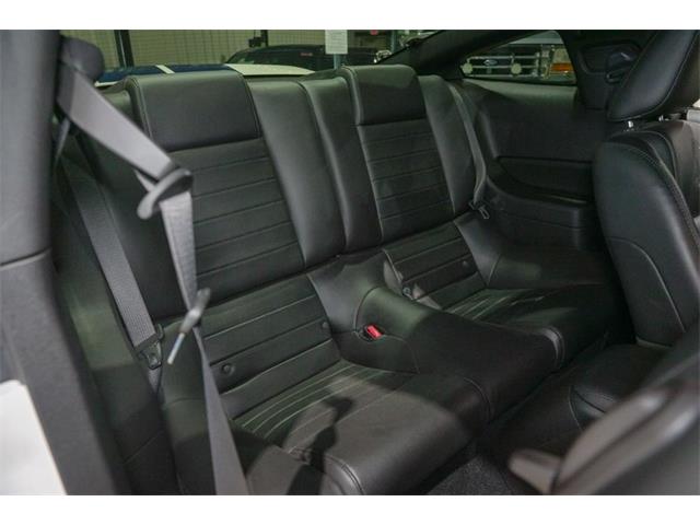2008 Ford Shelby GT500  (CC-2081289) for sale in Kentwood, Michigan