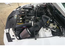 2008 Ford Shelby GT500  (CC-2081289) for sale in Kentwood, Michigan