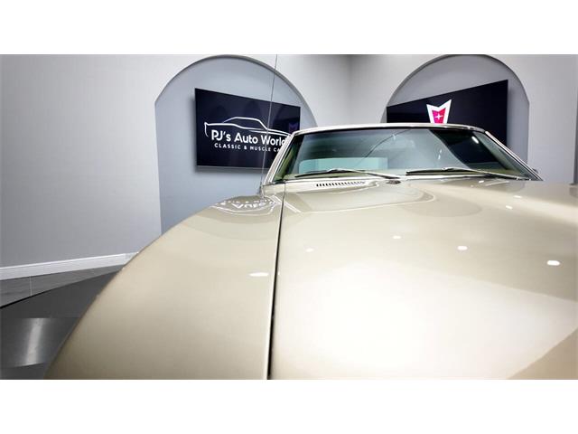 1969 Pontiac Firebird (CC-2080129) for sale in Clearwater, Florida
