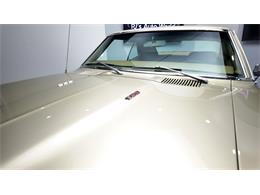 1969 Pontiac Firebird (CC-2080129) for sale in Clearwater, Florida