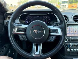 2019 Ford Mustang (CC-2080134) for sale in Paducah, Kentucky