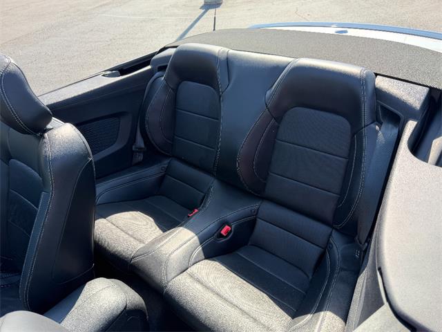 2019 Ford Mustang (CC-2080134) for sale in Paducah, Kentucky