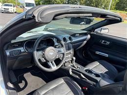 2019 Ford Mustang (CC-2080134) for sale in Paducah, Kentucky