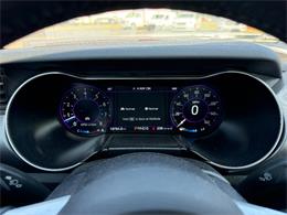 2019 Ford Mustang (CC-2080134) for sale in Paducah, Kentucky