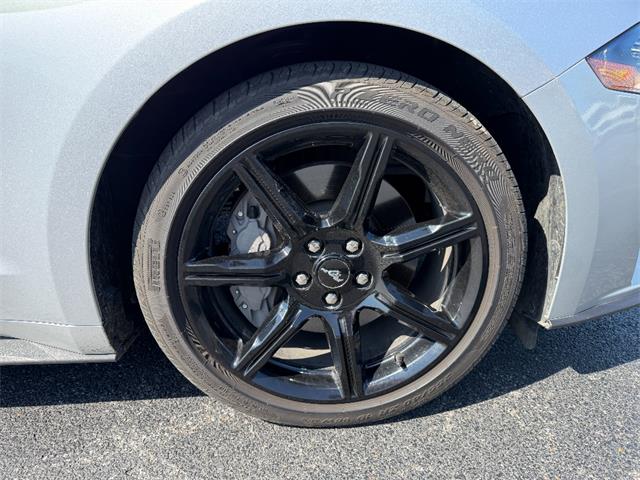 2019 Ford Mustang (CC-2080134) for sale in Paducah, Kentucky
