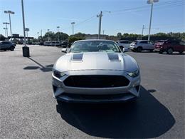 2019 Ford Mustang (CC-2080134) for sale in Paducah, Kentucky