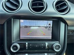 2019 Ford Mustang (CC-2080134) for sale in Paducah, Kentucky