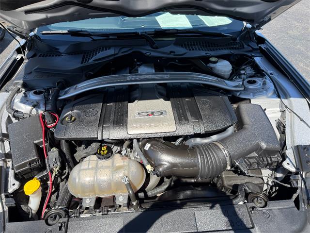 2019 Ford Mustang (CC-2080134) for sale in Paducah, Kentucky
