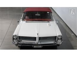 1964 Pontiac Catalina (CC-2081341) for sale in Peoria, Arizona