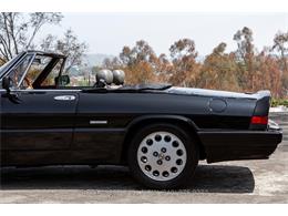 1989 Alfa Romeo Spider Quadrifoglio (CC-2081365) for sale in Beverly Hills, California