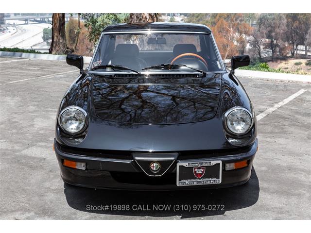 1989 Alfa Romeo Spider Quadrifoglio (CC-2081365) for sale in Beverly Hills, California