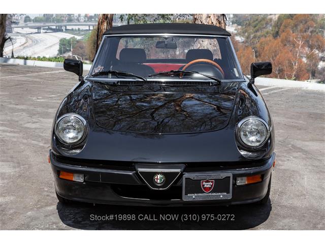 1989 Alfa Romeo Spider Quadrifoglio (CC-2081365) for sale in Beverly Hills, California