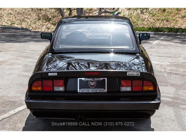 1989 Alfa Romeo Spider Quadrifoglio (CC-2081365) for sale in Beverly Hills, California