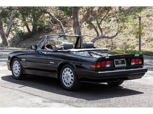 1989 Alfa Romeo Spider Quadrifoglio (CC-2081365) for sale in Beverly Hills, California