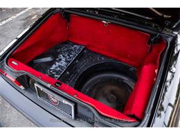 1989 Alfa Romeo Spider Quadrifoglio (CC-2081365) for sale in Beverly Hills, California