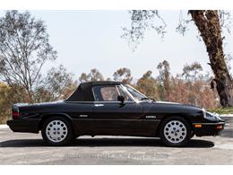 1989 Alfa Romeo Spider Quadrifoglio (CC-2081365) for sale in Beverly Hills, California