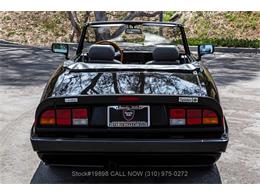1989 Alfa Romeo Spider Quadrifoglio (CC-2081365) for sale in Beverly Hills, California