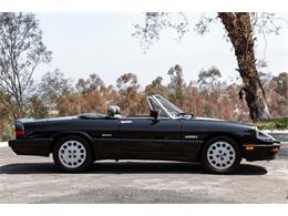 1989 Alfa Romeo Spider Quadrifoglio (CC-2081365) for sale in Beverly Hills, California